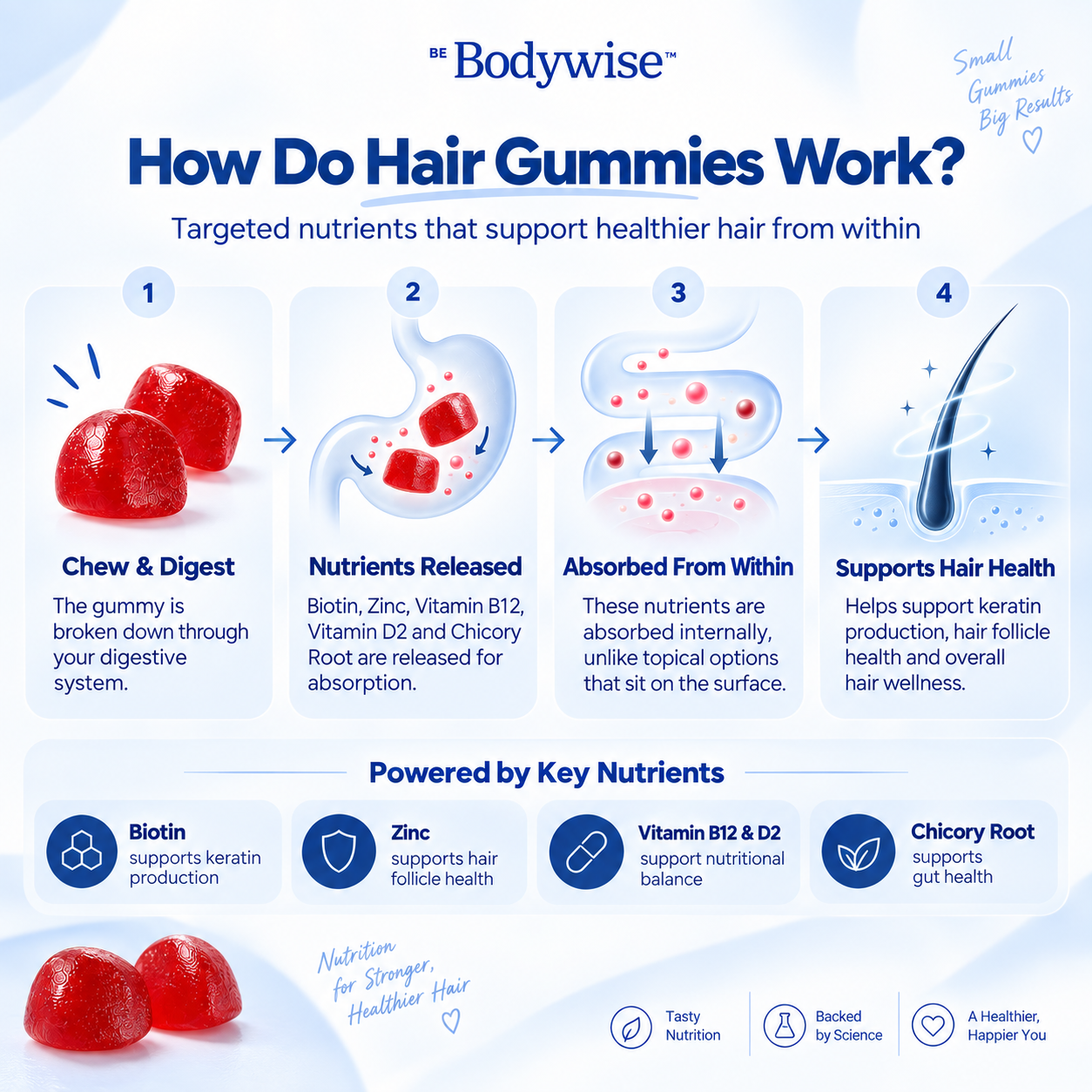Biotin Hair Growth Gummies